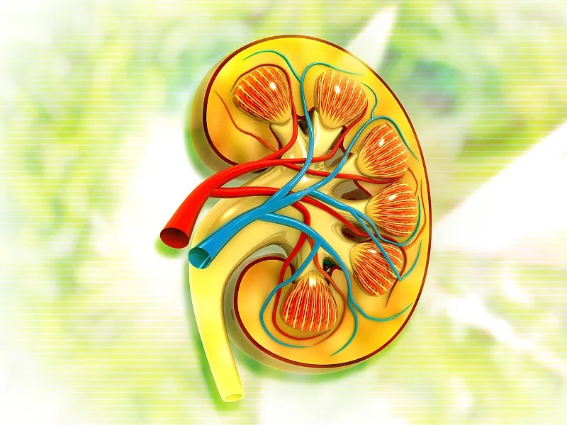 关于第3期肾病，您应该知道的一切