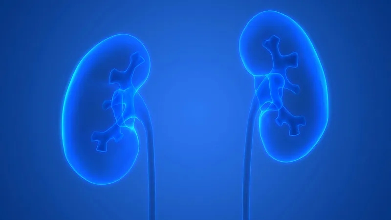 干细胞在治疗肾病中取得哪些进展？未来将面临哪些挑战？