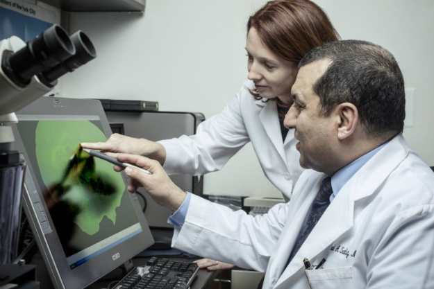 干细胞治疗疾病 |  细胞疗法是人类健康的未来的原因