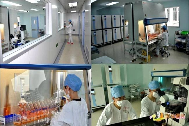生物治疗技术中心的GMP生产基地