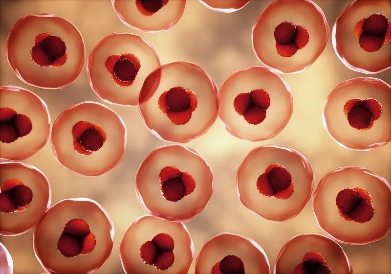 第一位接受Gamida Cell扩展脐带血细胞疗法 Omisirge™治疗的患者