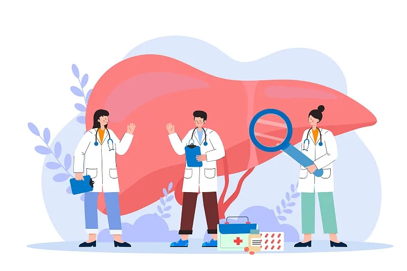 间充质干细胞治疗肝病的新视角：恢复线粒体功能