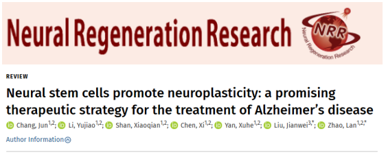 通过移植神经干细胞来改善阿尔茨海默病小鼠的认知缺陷和海马突触的丢失 通过移植神经干细胞来改善阿尔茨海默病小鼠的认知缺陷和海马突触的丢失