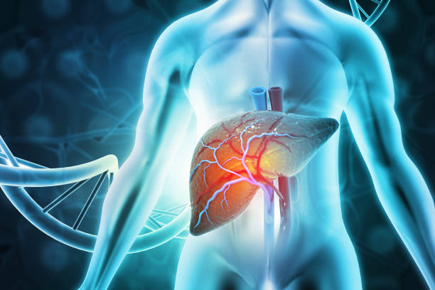 干细胞治疗肝病的临床前景与研究现状的综述