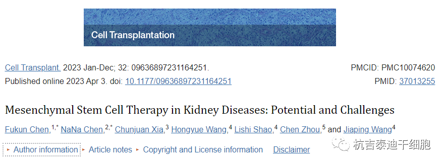 细胞移植：间充质干细胞治疗肾脏疾病的潜力和挑战