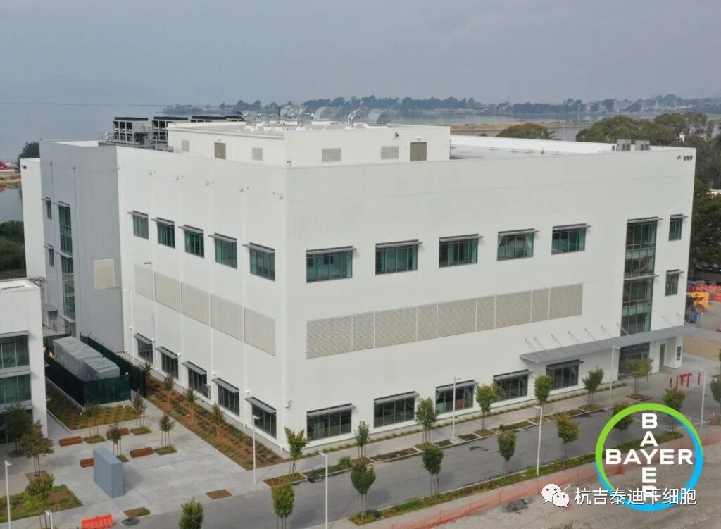 投资2.5亿美元！拜耳新建细胞治疗工厂，推进细胞疗法生产！