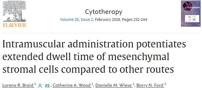 与其他途径相比，肌肉注射可以延长间充质基质细胞的停留时间