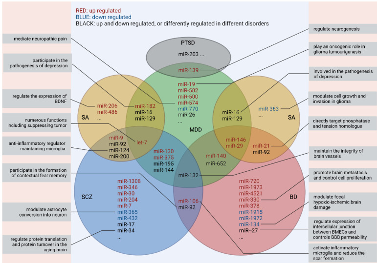 图2：不同研究中外周miRNA及其功能的重叠