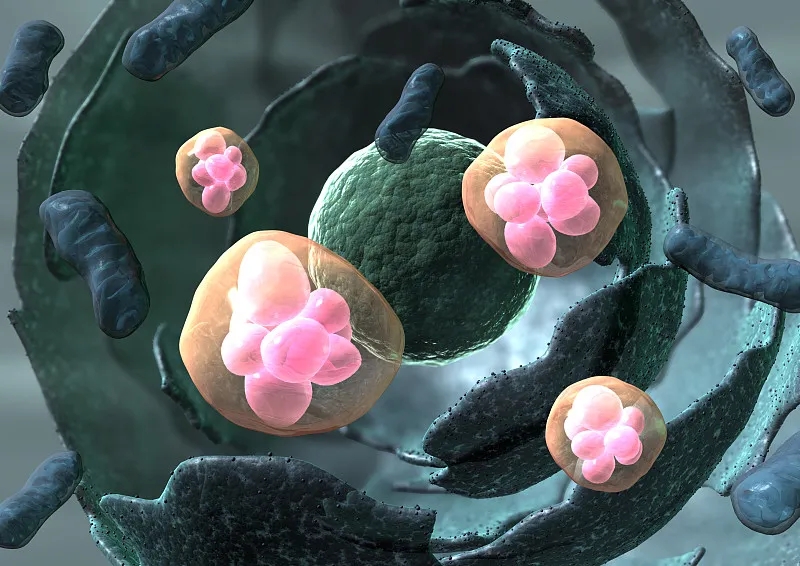 用于治疗疾病的干细胞有哪些不同类型?