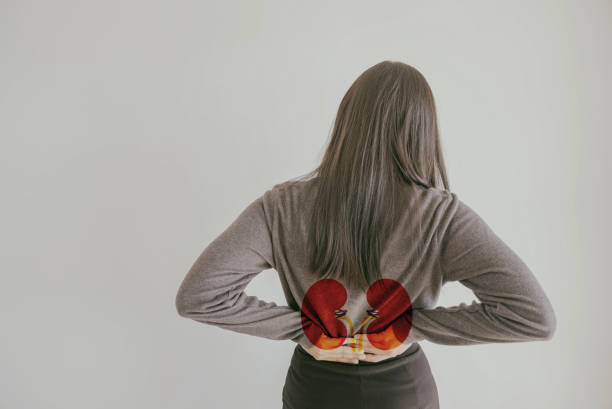 干细胞治疗肾病的临床研究成功展示 干细胞治疗肾病的临床研究成功展示