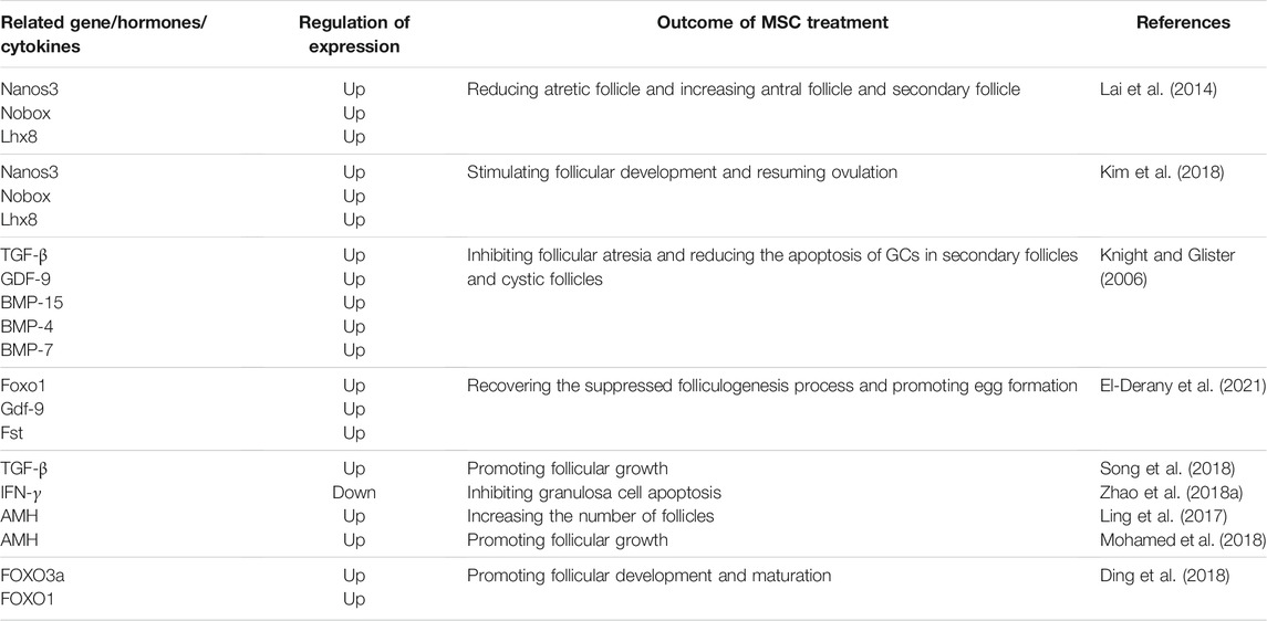 表2间充质干细胞对卵泡发育的影响