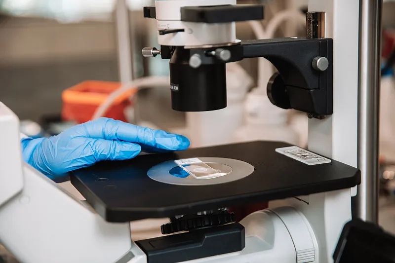 干细胞治疗仍有疑虑 ?九大《专家共识》带你洞悉干细胞的价值与地位