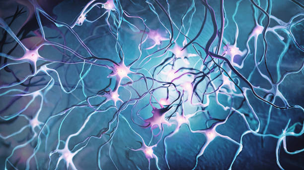 神经干细胞常见问题解答