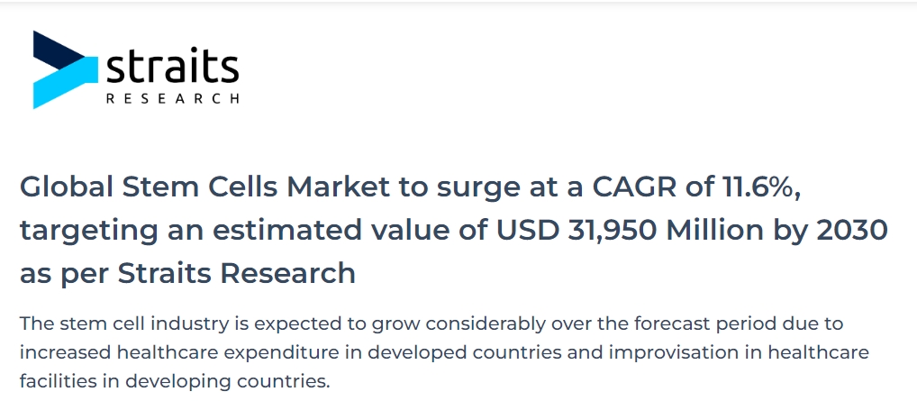 全球干细胞市场复合年增长率将达到11.6%，预计到2030年价值将达到319.5亿美元