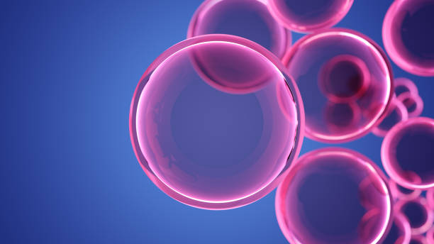 探索干细胞治疗的潜力（2023）