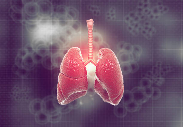 肺纤维化：干细胞治疗是前进的方向吗？