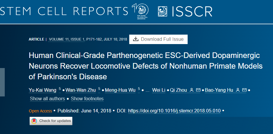 人类临床级孤雌生殖 ESC 衍生的多巴胺能神经元可恢复非人类灵长类动物帕金森病模型的运动缺陷