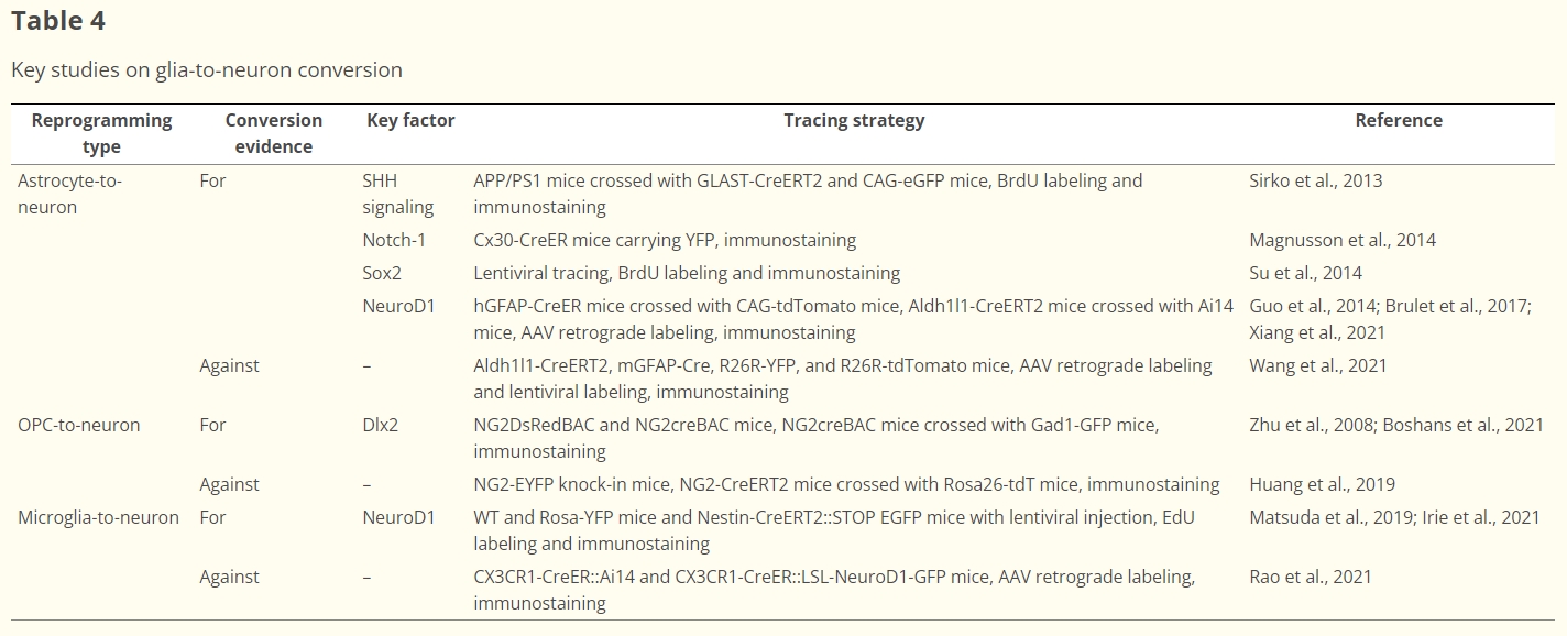 表4：胶质细胞到神经元转化的重点研究