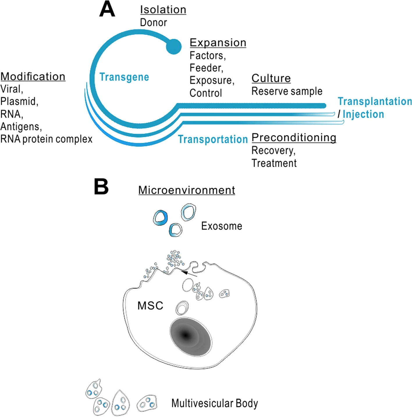 图2：外泌体介导干细胞基于微环境的策略。