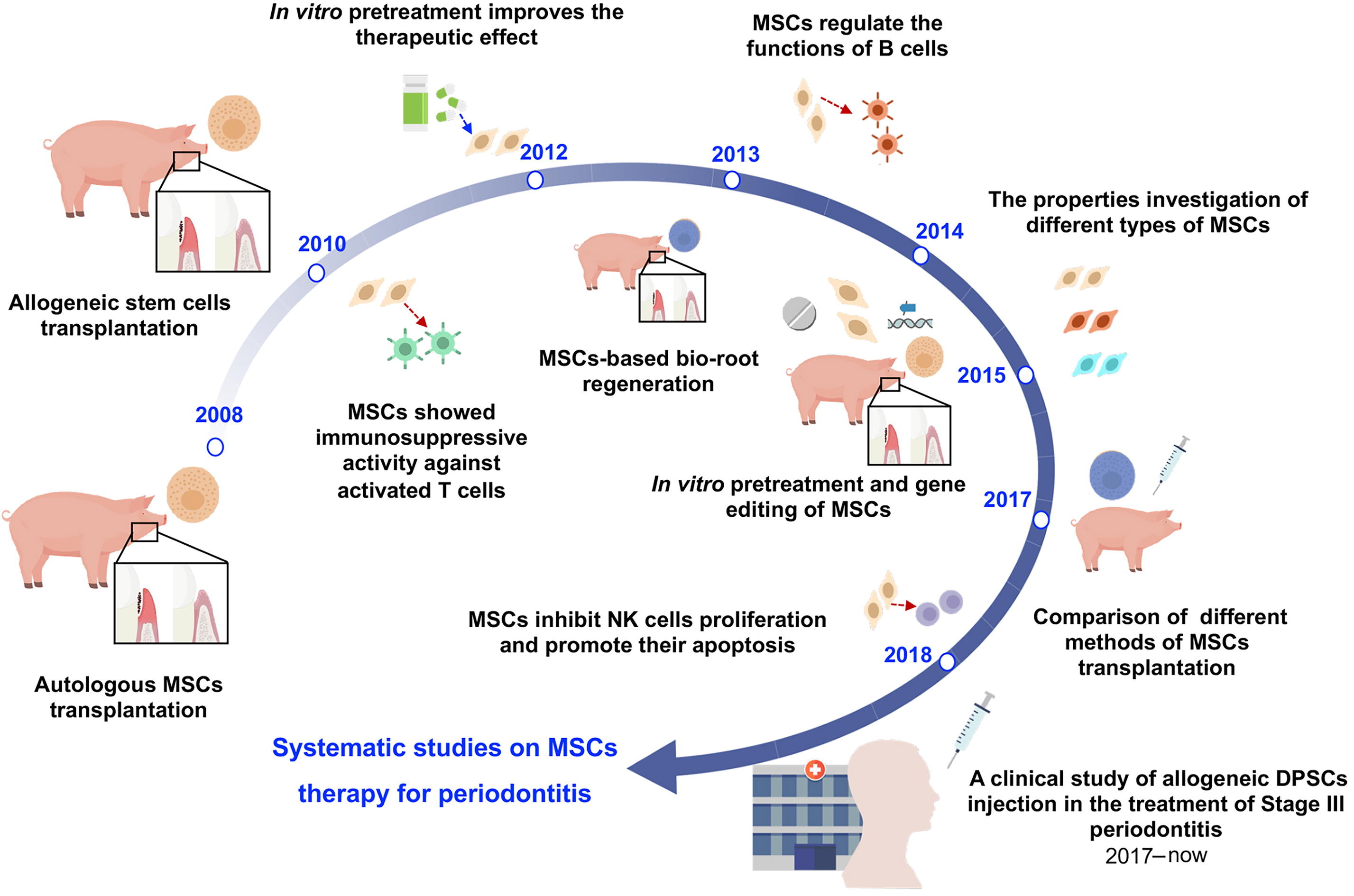 图1：中国开发治疗牙周炎的间充质干细胞药物示意图