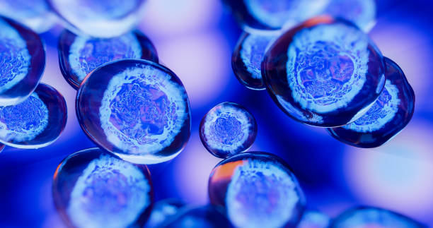 人间充质干细胞药物的开发及临床应用