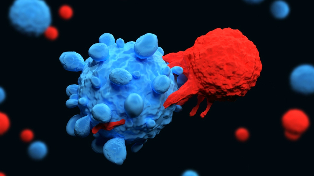 用于免疫防御的T细胞：2024年的CAR-T细胞疗法