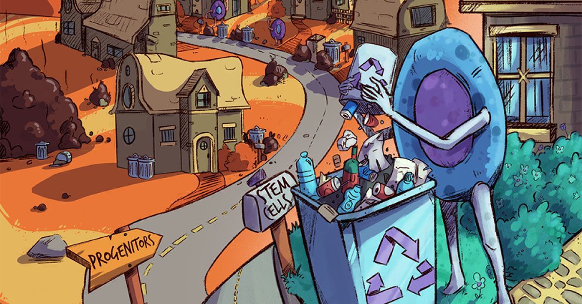 干细胞必须清除垃圾才能抵御衰老