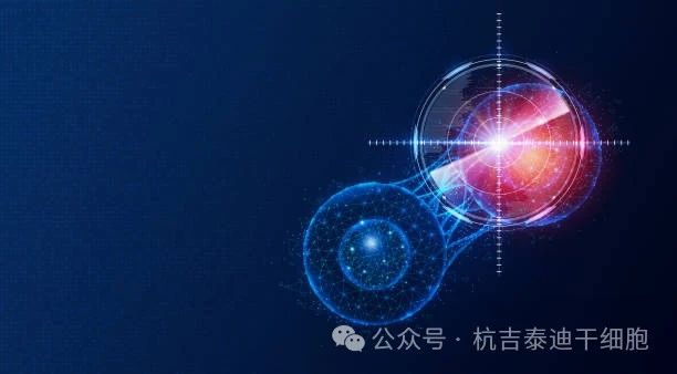 盘点2023干细胞疗法五大突破性进展，冲破难治性疾病壁垒