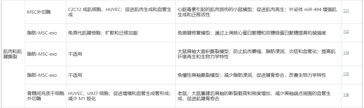 干细胞外泌体治疗肌肉和肌腱撕裂 干细胞外泌体治疗肌肉和肌腱撕裂