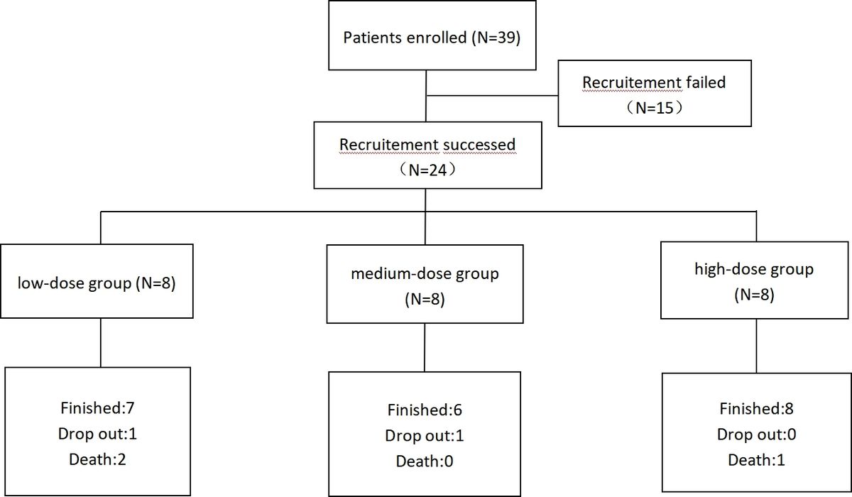 图1：研究流程图