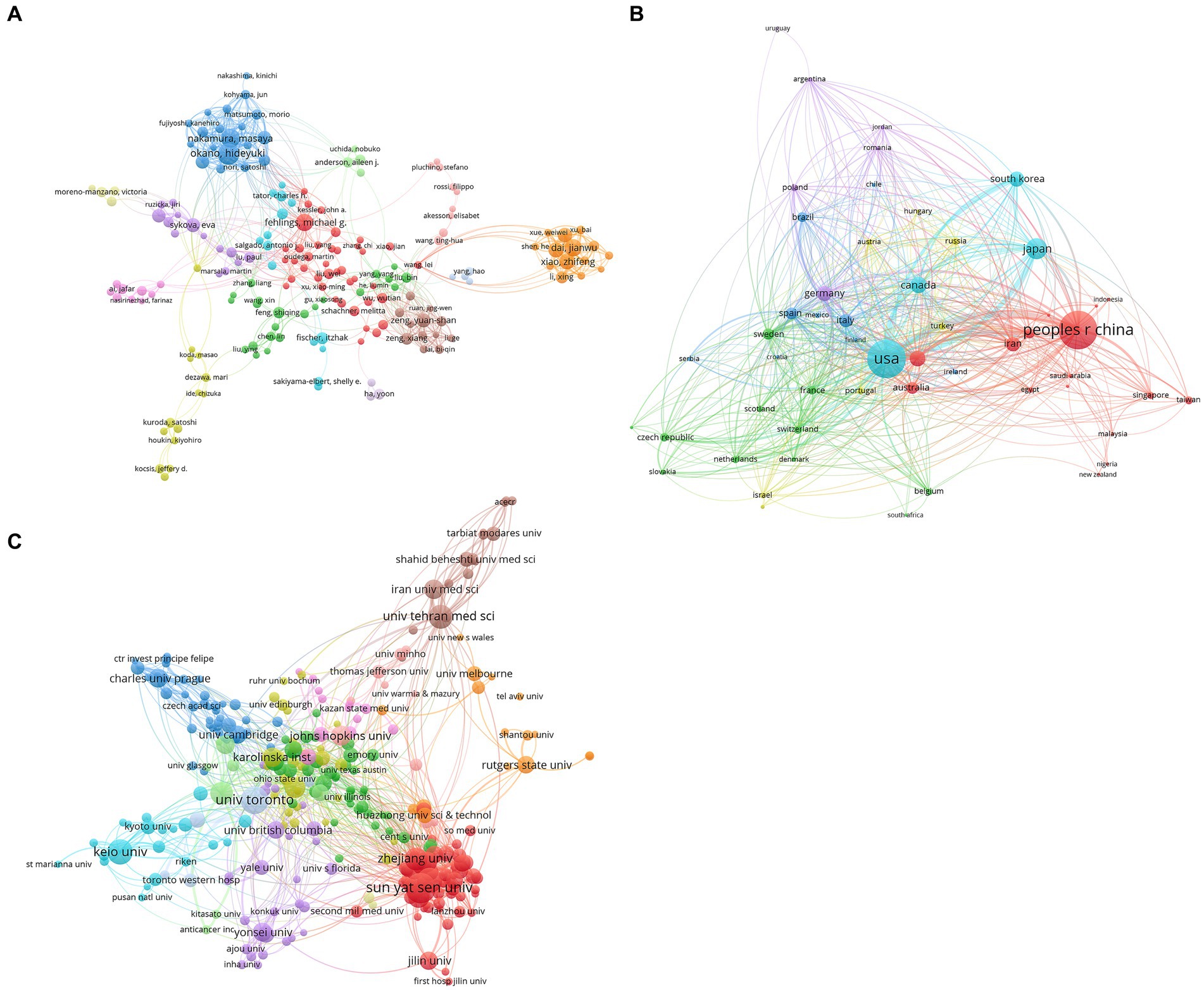 图4：干细胞治疗脊髓损伤研究的合著者分析。