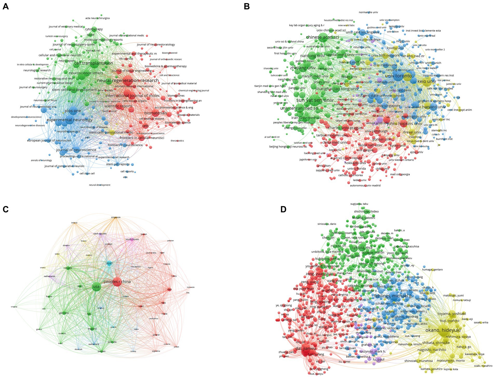 图5：脊髓损伤研究干细胞疗法的文献耦合分析。
