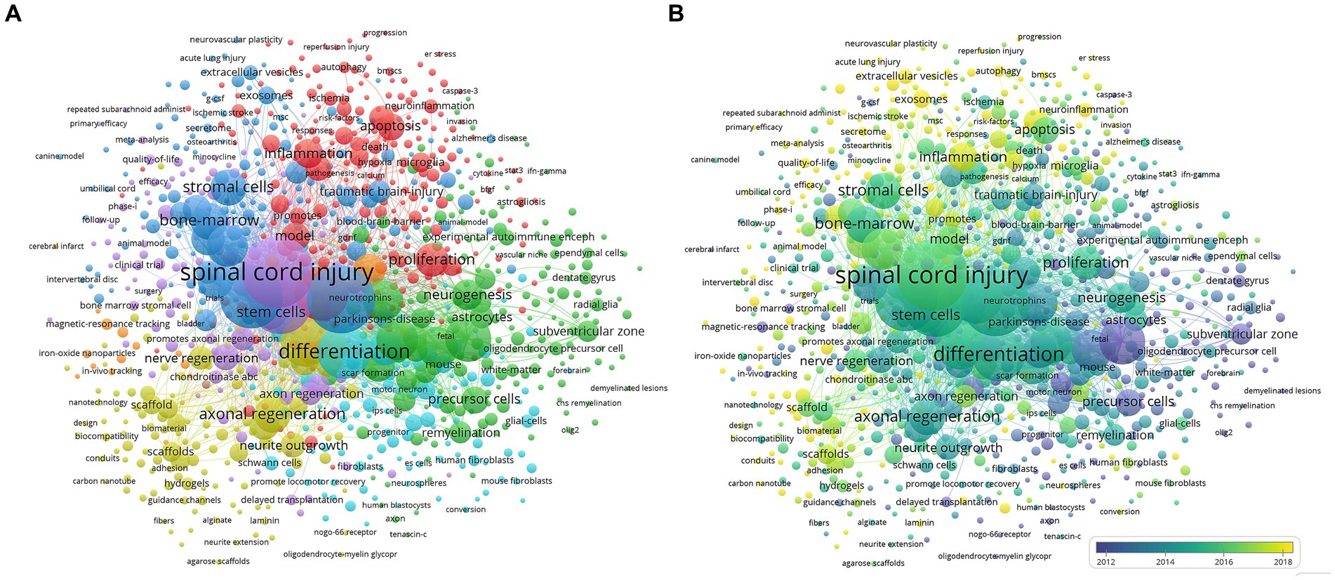 图7：干细胞治疗脊髓损伤研究的共现分析