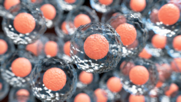 干细胞治疗的平均费用是多少？