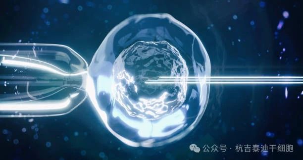 干细胞疗法如何减缓肺部疾病的症状? 干细胞疗法如何减缓肺部疾病的症状?