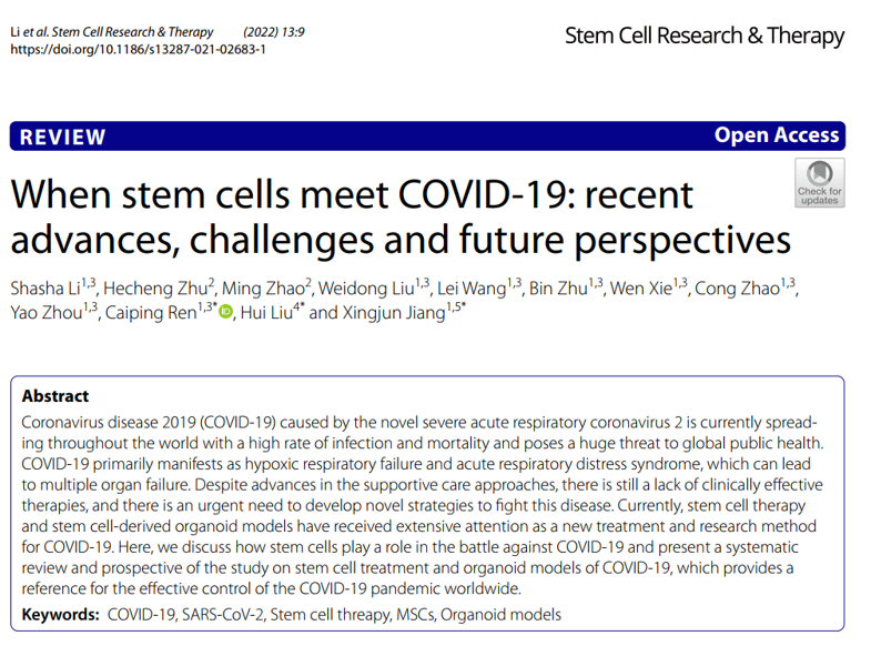 干细胞如何应对COVID-19:近期进展、挑战和未来展望 干细胞如何应对COVID-19:近期进展、挑战和未来展望