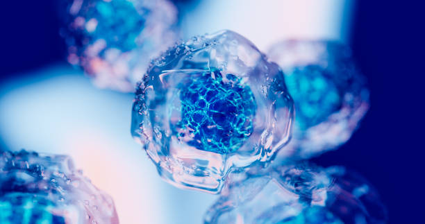 2024年重磅更新：药监局公布间充质干细胞新药，适应治疗的46种疾病名单！