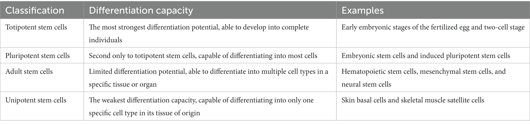 表格1：干细胞的分类。