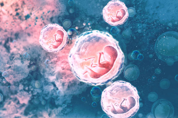 人类脐带间充质干细胞移植对临床治疗有何影响？