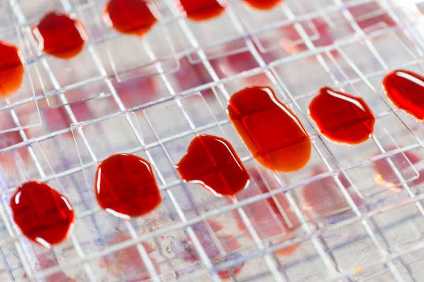 可以用脐带血干细胞可以治疗哪些疾病？