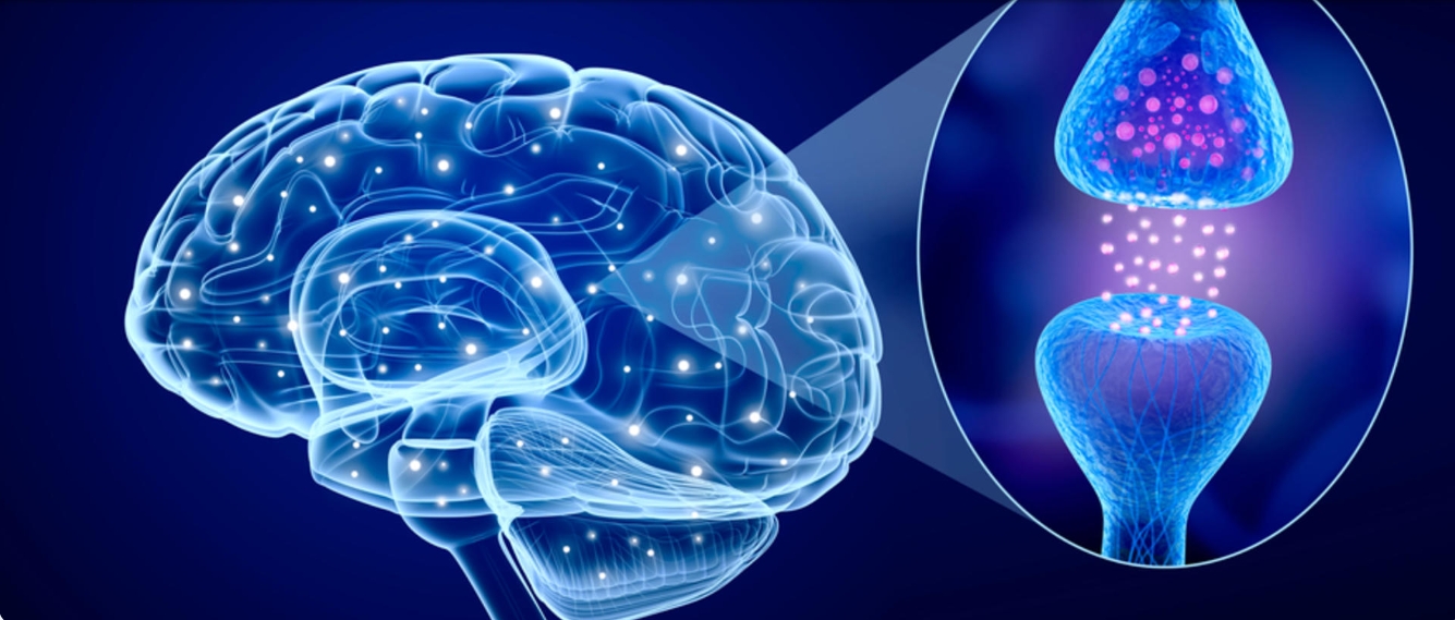 早期干细胞治疗帕金森病试验公布积极结果