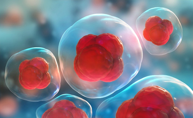 干细胞如何改变退行性疾病的治疗？ 干细胞 |  关于干细胞你需要知道的一切