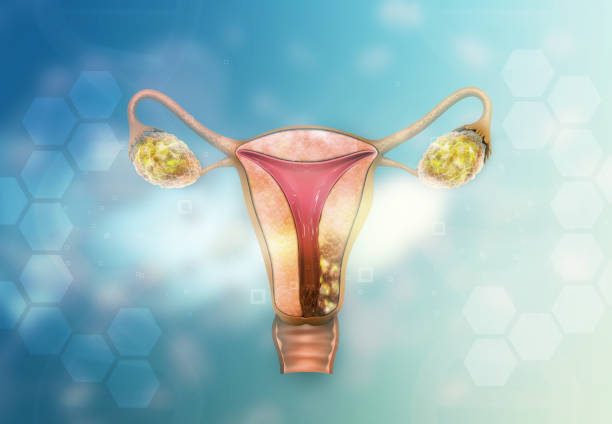 胚胎干细胞进行多次治疗，可保持经历自然衰老小鼠的生育能力和卵巢功能