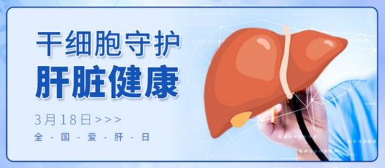 3.18全国爱肝日 | 让干细胞疗法守护您的肝脏健康