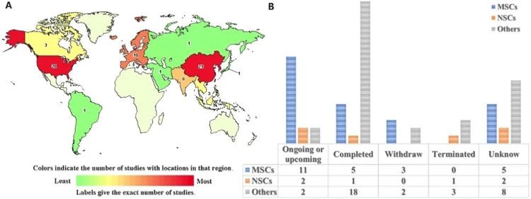 干细胞治疗现状