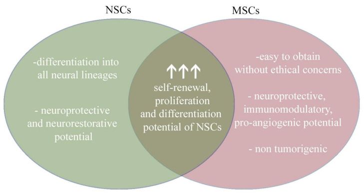 图4：将神经干细胞和间充质干细胞的治疗益处相结合，为治疗提供了新的视角。