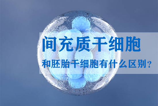 间充质干细胞和胚胎干细胞有什么区别？