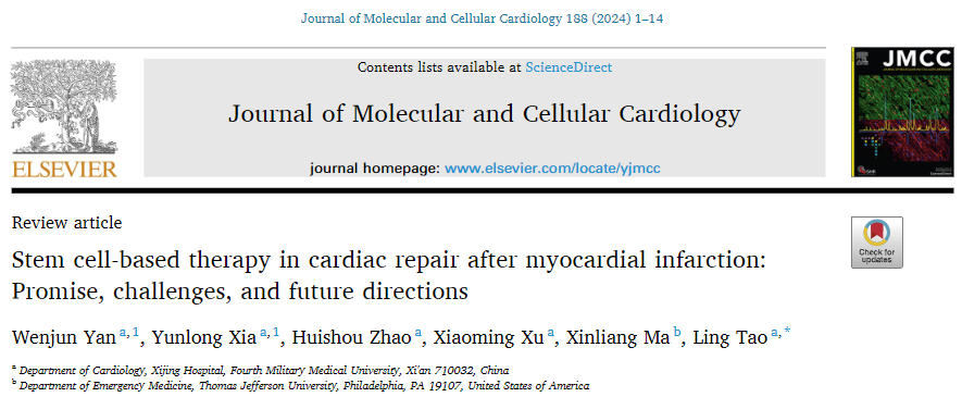 干细胞治疗效果不佳?这四招能助你效果大增! 干细胞治疗效果不佳?这四招能助你效果大增!