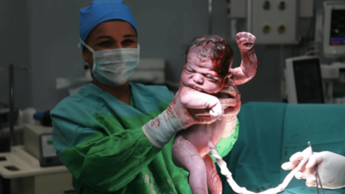 为什么我们选择不使用胚胎细胞治疗自闭症？