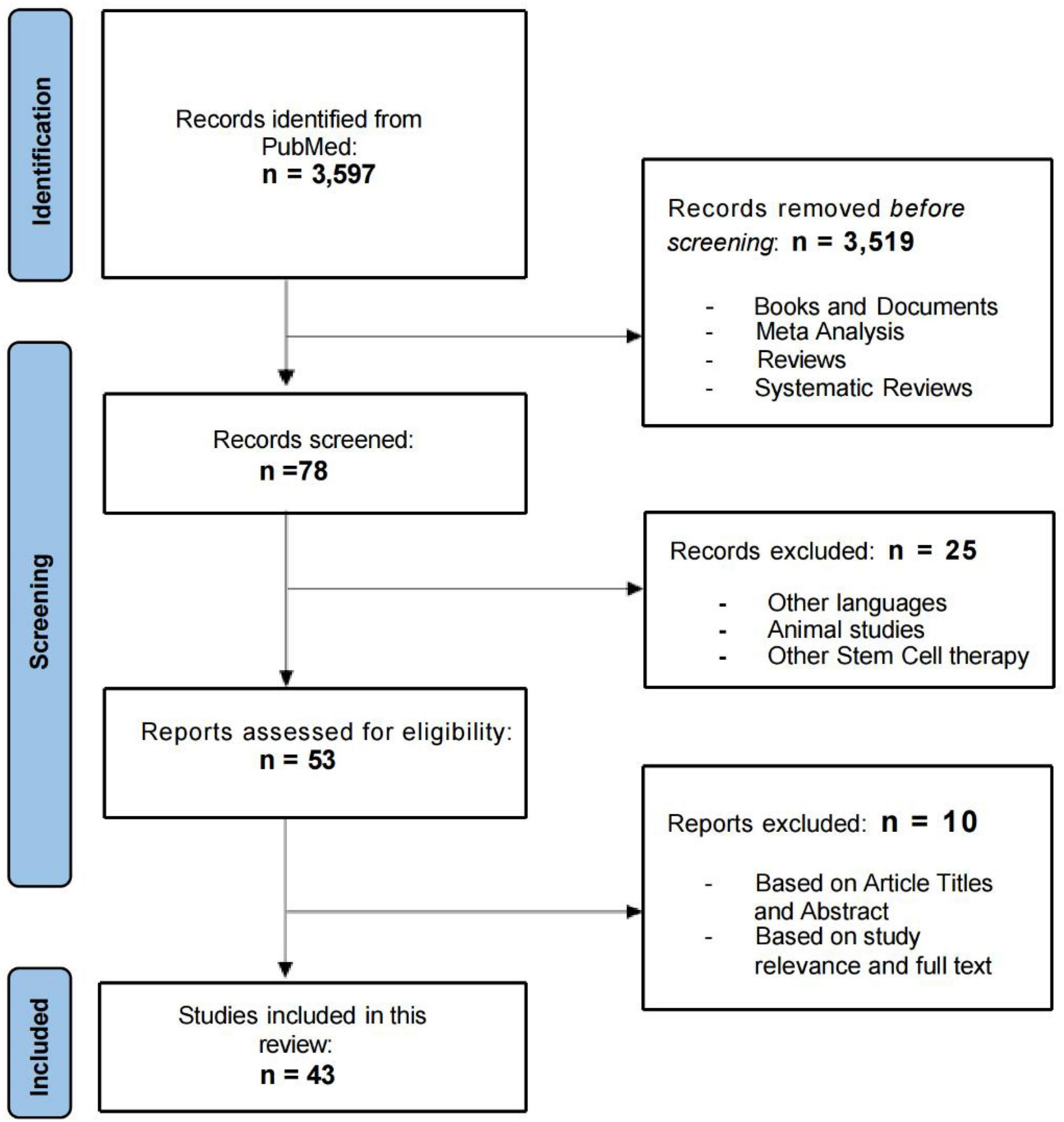 审查流程的流程图如图1所示。
